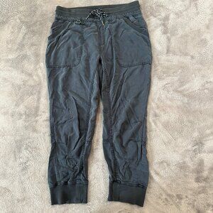 Pilcro Anthropologie Gray 100% Lyocell Pull On Joggers Women's MEDIUM Pants